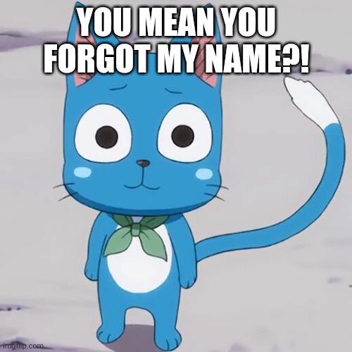YOU MEAN YOU FORGOT MY NAME?! | made w/ Imgflip meme maker