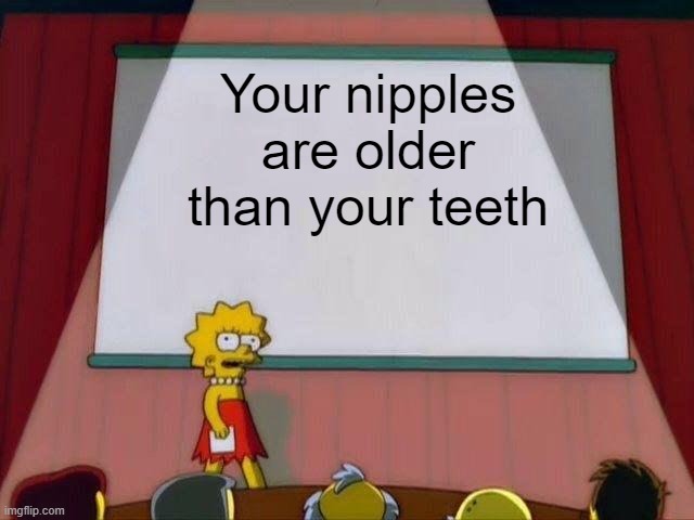 Lisa Simpson's Presentation |  Your nipples are older than your teeth | image tagged in lisa simpson's presentation,funny | made w/ Imgflip meme maker