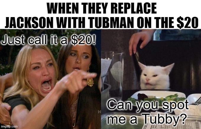 Woman Yelling At Cat Meme |  WHEN THEY REPLACE JACKSON WITH TUBMAN ON THE $20; Just call it a $20! Can you spot me a Tubby? | image tagged in memes,woman yelling at cat | made w/ Imgflip meme maker