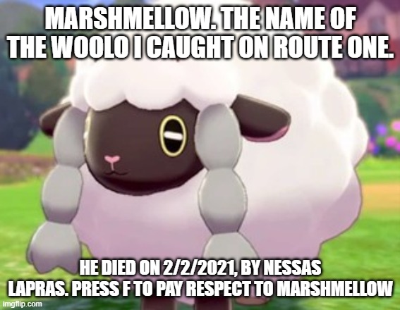wooloo | MARSHMELLOW. THE NAME OF THE WOOLO I CAUGHT ON ROUTE ONE. HE DIED ON 2/2/2021, BY NESSAS LAPRAS. PRESS F TO PAY RESPECT TO MARSHMELLOW | image tagged in wooloo | made w/ Imgflip meme maker