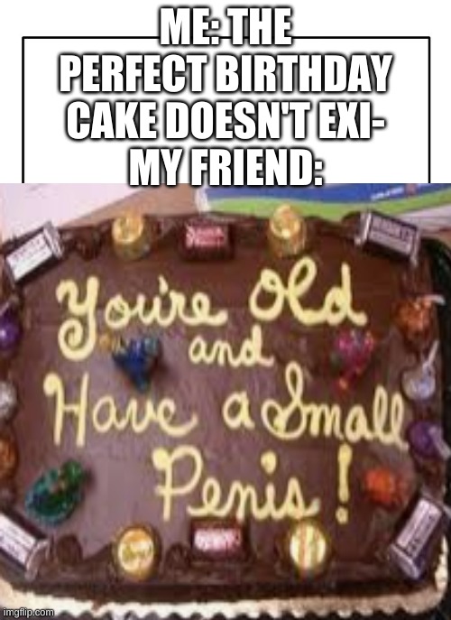 ME: THE PERFECT BIRTHDAY CAKE DOESN'T EXI-
MY FRIEND: | made w/ Imgflip meme maker