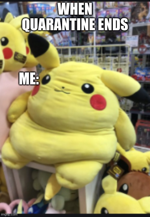 fat pikachu | WHEN QUARANTINE ENDS; ME: | image tagged in quarantine,fat,pikachu | made w/ Imgflip meme maker