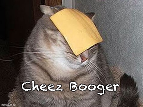 Cats with cheese | MRA; Cheez Booger | image tagged in cats with cheese | made w/ Imgflip meme maker