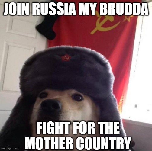 Russian Doge | JOIN RUSSIA MY BRUDDA FIGHT FOR THE MOTHER COUNTRY | image tagged in russian doge | made w/ Imgflip meme maker