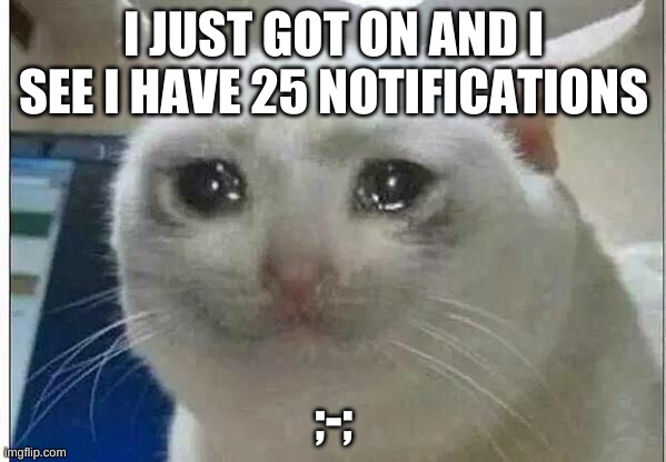 crying cat | I JUST GOT ON AND I SEE I HAVE 25 NOTIFICATIONS; ;-; | image tagged in crying cat | made w/ Imgflip meme maker