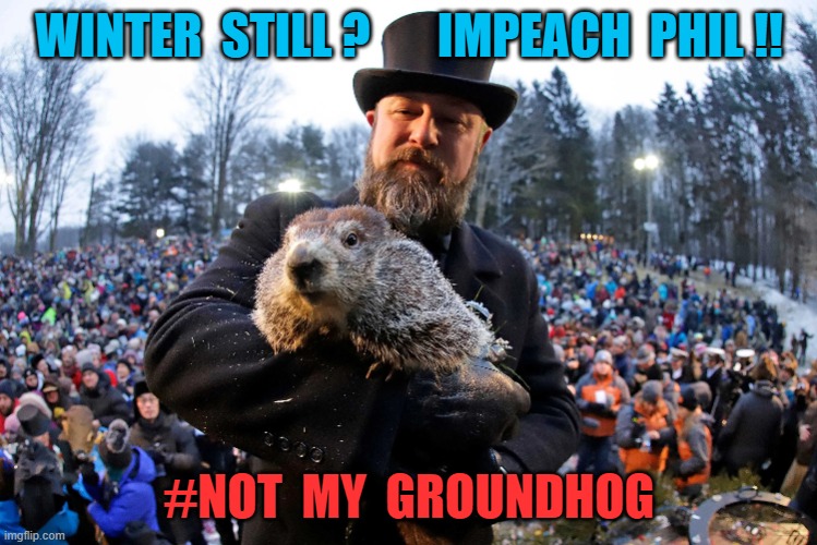 Groundhog day | WINTER  STILL ?       IMPEACH  PHIL !! #NOT  MY  GROUNDHOG | image tagged in groundhog day | made w/ Imgflip meme maker