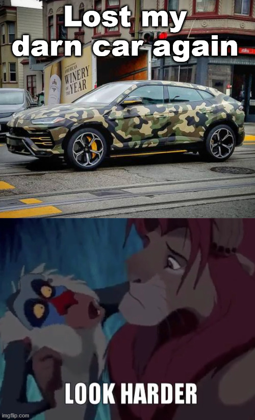 Never camouflage your car. |  Lost my darn car again | image tagged in rafiki look harder,camouflage | made w/ Imgflip meme maker