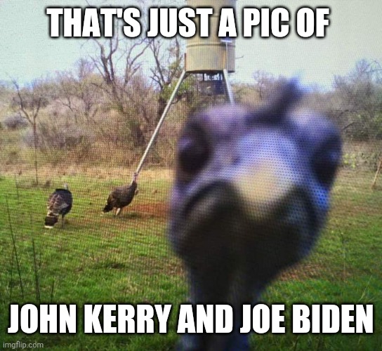 Jiveass Turkey | THAT'S JUST A PIC OF JOHN KERRY AND JOE BIDEN | image tagged in jiveass turkey | made w/ Imgflip meme maker