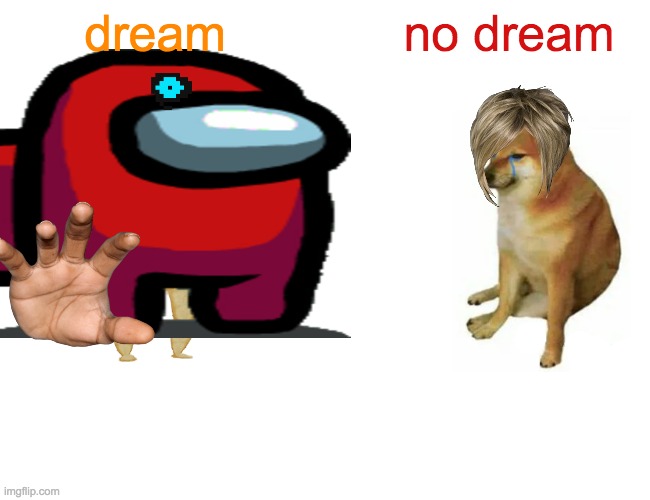 wish | dream; no dream | image tagged in plz | made w/ Imgflip meme maker