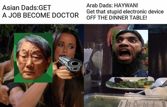 Woman Yelling At Cat | Asian Dads:GET A JOB BECOME DOCTOR; Arab Dads: HAYWAN! Get that stupid electronic device
OFF THE DINNER TABLE! | image tagged in memes,woman yelling at cat | made w/ Imgflip meme maker