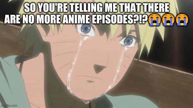 Finishing anime | SO YOU'RE TELLING ME THAT THERE ARE NO MORE ANIME EPISODES?!?😭😭😭 | image tagged in finishing anime | made w/ Imgflip meme maker