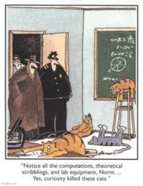 For any lovers of the "The Far Side" | image tagged in cats | made w/ Imgflip meme maker