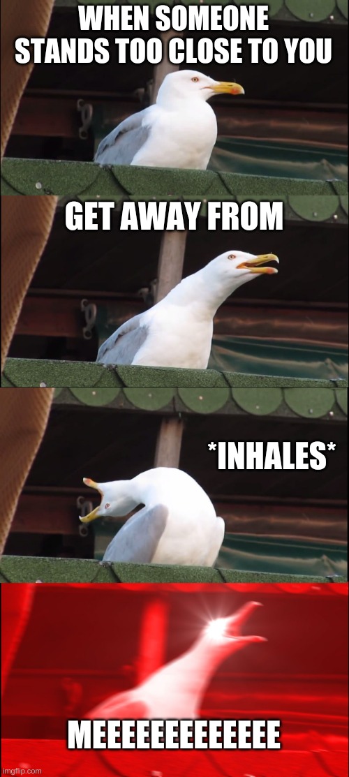 Inhaling Seagull | WHEN SOMEONE STANDS TOO CLOSE TO YOU; GET AWAY FROM; *INHALES*; MEEEEEEEEEEEEE | image tagged in memes,inhaling seagull | made w/ Imgflip meme maker