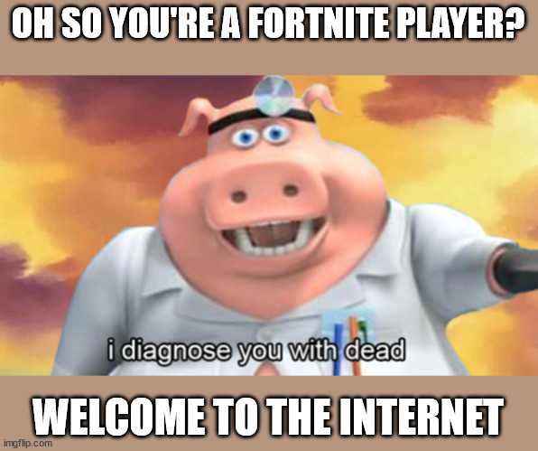 I diagnose you with dead | OH SO YOU'RE A FORTNITE PLAYER? WELCOME TO THE INTERNET | image tagged in i diagnose you with dead | made w/ Imgflip meme maker