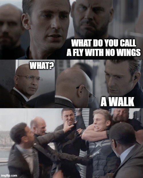 Walk | WHAT DO YOU CALL A FLY WITH NO WINGS; WHAT? A WALK | image tagged in captain america elevator | made w/ Imgflip meme maker