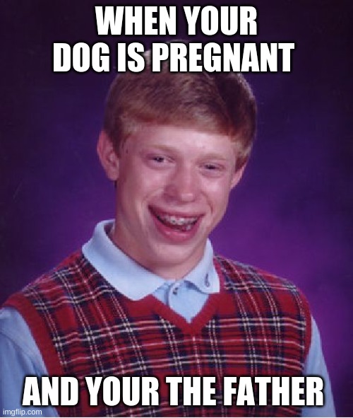 Bad Luck Brian Meme | WHEN YOUR DOG IS PREGNANT; AND YOUR THE FATHER | image tagged in memes,bad luck brian | made w/ Imgflip meme maker