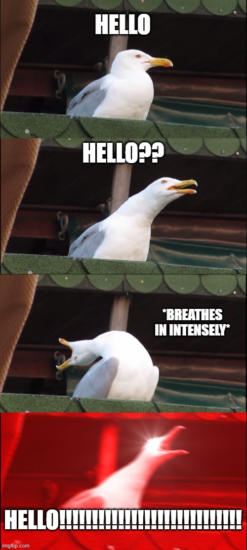 Inhaling Seagull | HELLO; HELLO?? *BREATHES IN INTENSELY*; HELLO!!!!!!!!!!!!!!!!!!!!!!!!!!!! | image tagged in memes,inhaling seagull | made w/ Imgflip meme maker