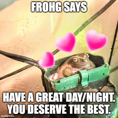 Frohg | FROHG SAYS; HAVE A GREAT DAY/NIGHT. YOU DESERVE THE BEST. | image tagged in wholesome froggie | made w/ Imgflip meme maker