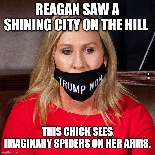 REAGAN SAW A SHINING CITY ON THE HILL; J M; THIS CHICK SEES IMAGINARY SPIDERS ON HER ARMS. | image tagged in trump supporters | made w/ Imgflip meme maker