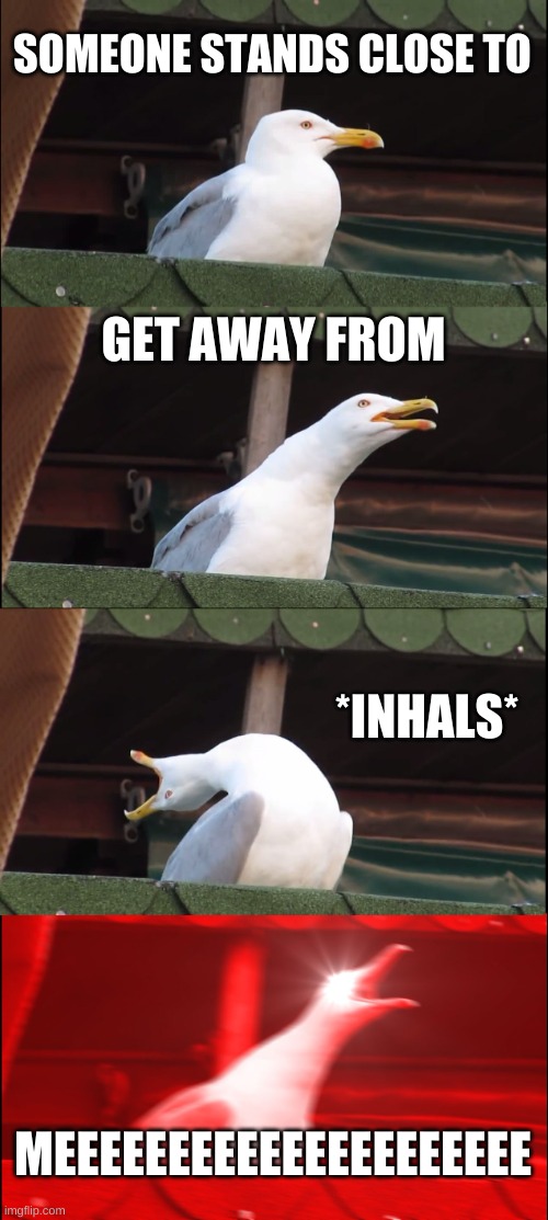 Inhaling Seagull | SOMEONE STANDS CLOSE TO; GET AWAY FROM; *INHALS*; MEEEEEEEEEEEEEEEEEEEEE | image tagged in memes,inhaling seagull | made w/ Imgflip meme maker