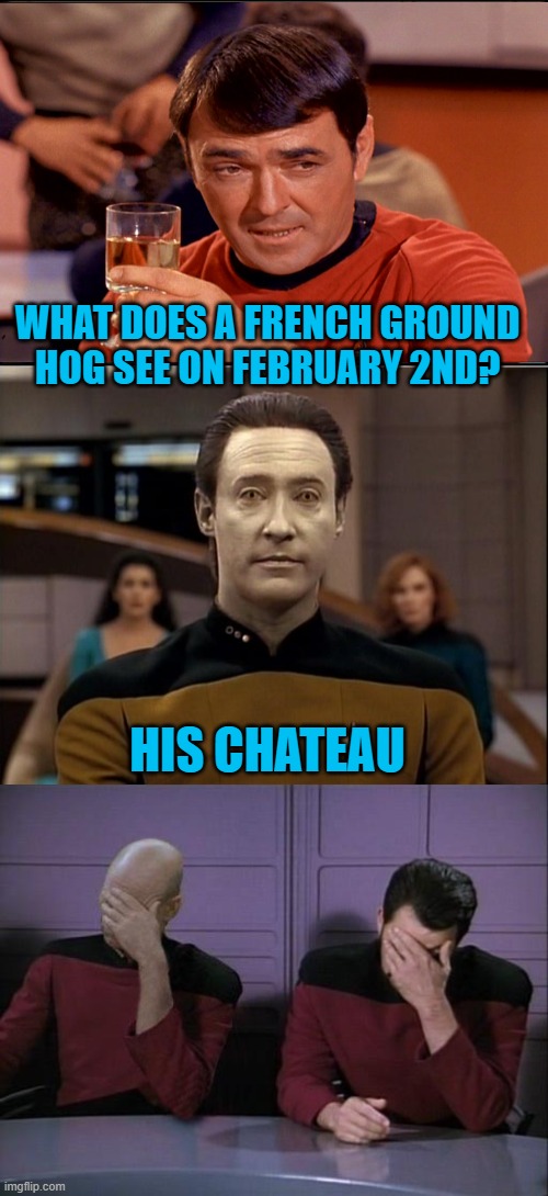 WHAT DOES A FRENCH GROUND HOG SEE ON FEBRUARY 2ND? HIS CHATEAU | image tagged in pickard,star trek data,double facepalm | made w/ Imgflip meme maker