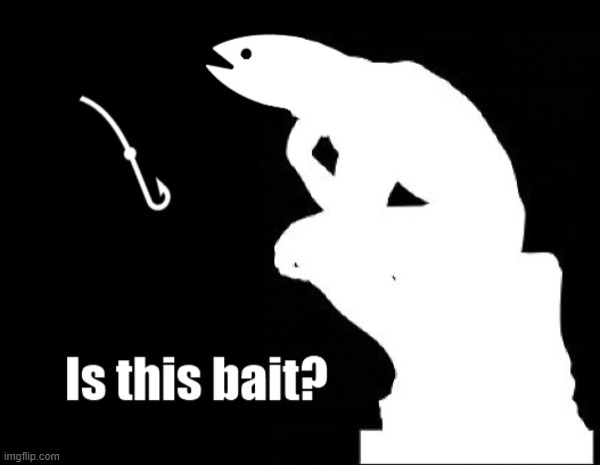 Is this bait philosofish | image tagged in is this bait philosofish | made w/ Imgflip meme maker