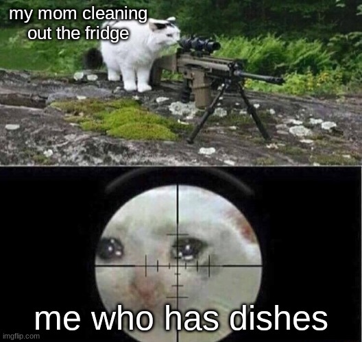 relate | my mom cleaning out the fridge; me who has dishes | image tagged in sniper cat,dishes | made w/ Imgflip meme maker