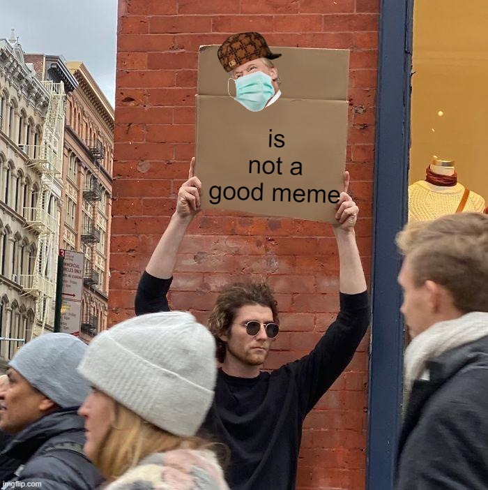 Im talking to you new imgflip users | is not a good meme | image tagged in memes,guy holding cardboard sign | made w/ Imgflip meme maker