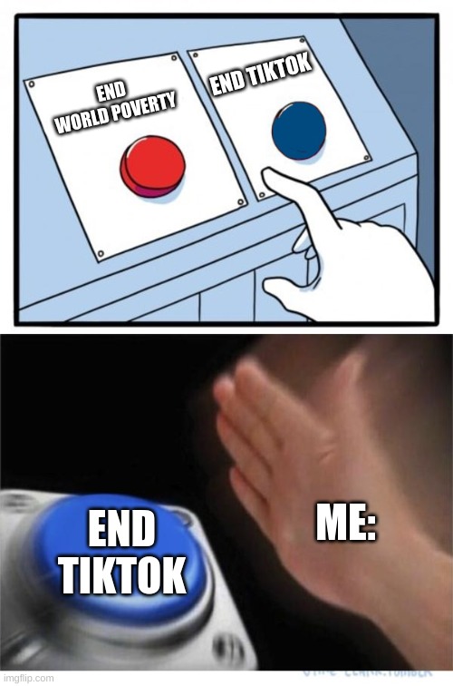 two buttons 1 blue | END TIKTOK; END WORLD POVERTY; ME:; END TIKTOK | image tagged in two buttons 1 blue | made w/ Imgflip meme maker