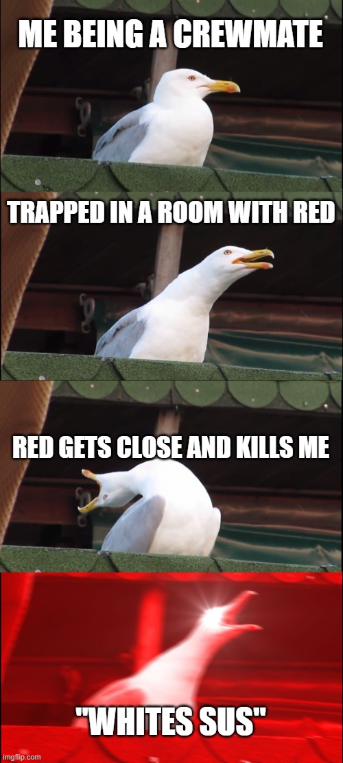 i have trust issuses | ME BEING A CREWMATE; TRAPPED IN A ROOM WITH RED; RED GETS CLOSE AND KILLS ME; "WHITES SUS" | image tagged in memes,inhaling seagull | made w/ Imgflip meme maker