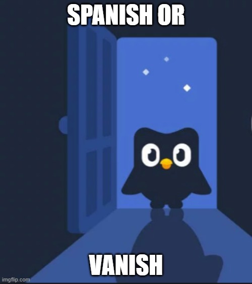 Spanish or vasish | SPANISH OR; VANISH | image tagged in duolingo bird,memes,spanish,duolingo,funny | made w/ Imgflip meme maker