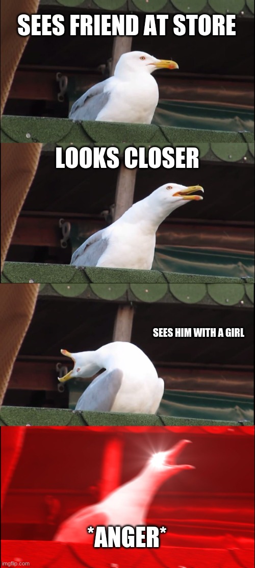 Inhaling Seagull | SEES FRIEND AT STORE; LOOKS CLOSER; SEES HIM WITH A GIRL; *ANGER* | image tagged in memes,inhaling seagull | made w/ Imgflip meme maker