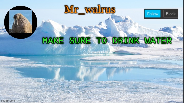 Mr_walrus | MAKE SURE TO DRINK WATER | image tagged in mr_walrus | made w/ Imgflip meme maker