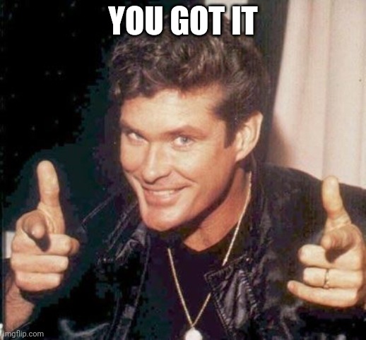 The Hoff thinks your awesome | YOU GOT IT | image tagged in the hoff thinks your awesome | made w/ Imgflip meme maker