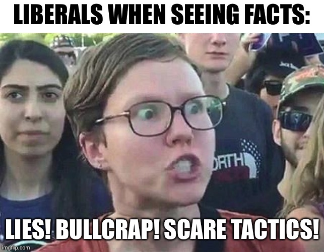 Leftists are worse at this though. | LIBERALS WHEN SEEING FACTS:; LIES! BULLCRAP! SCARE TACTICS! | image tagged in triggered liberal,funny,memes,leftists,so true memes,politics | made w/ Imgflip meme maker
