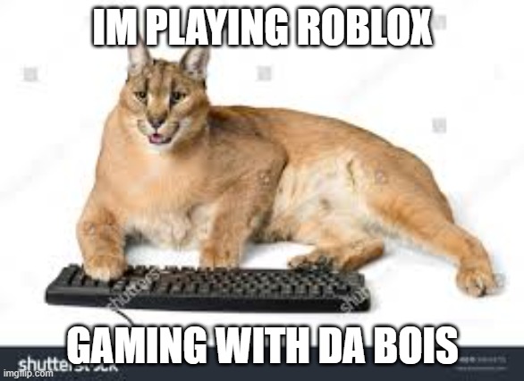 floppa gaming | IM PLAYING ROBLOX; GAMING WITH DA BOIS | image tagged in gaming | made w/ Imgflip meme maker