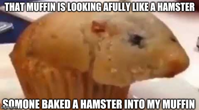my muffin.... | THAT MUFFIN IS LOOKING AFULLY LIKE A HAMSTER; SOMONE BAKED A HAMSTER INTO MY MUFFIN | image tagged in muffin,hamster | made w/ Imgflip meme maker