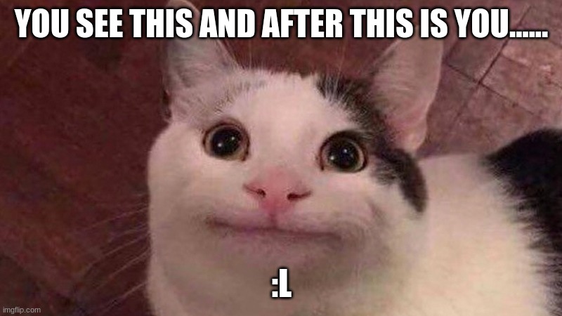 :l cat | YOU SEE THIS AND AFTER THIS IS YOU...... :L | image tagged in polite cat | made w/ Imgflip meme maker
