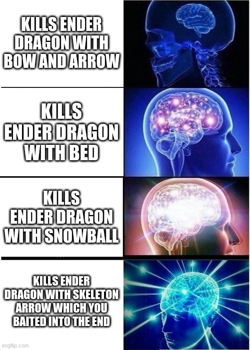 Expanding Brain | KILLS ENDER DRAGON WITH BOW AND ARROW; KILLS ENDER DRAGON WITH BED; KILLS ENDER DRAGON WITH SNOWBALL; KILLS ENDER DRAGON WITH SKELETON ARROW WHICH YOU BAITED INTO THE END | image tagged in memes,expanding brain | made w/ Imgflip meme maker