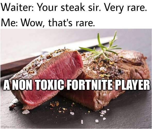 rare steak meme | A NON TOXIC FORTNITE PLAYER | image tagged in rare steak meme | made w/ Imgflip meme maker