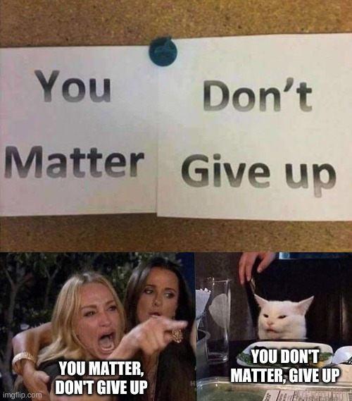 YOU DON'T MATTER, GIVE UP; YOU MATTER, DON'T GIVE UP | image tagged in design fail,woman yelling at cat | made w/ Imgflip meme maker