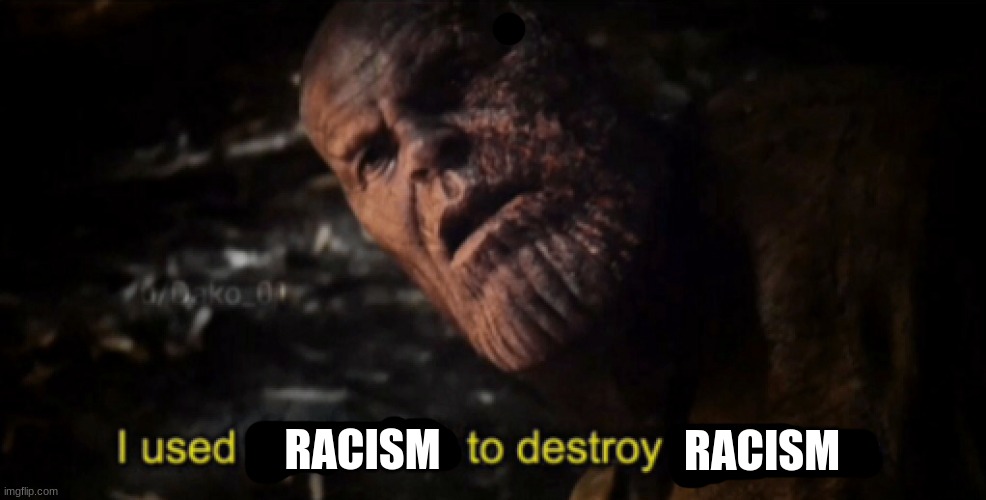 I used the stones to destroy the stones | RACISM RACISM | image tagged in i used the stones to destroy the stones | made w/ Imgflip meme maker