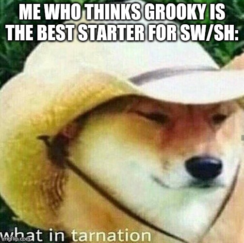 What in tarnation dog | ME WHO THINKS GROOKY IS THE BEST STARTER FOR SW/SH: | image tagged in what in tarnation dog | made w/ Imgflip meme maker