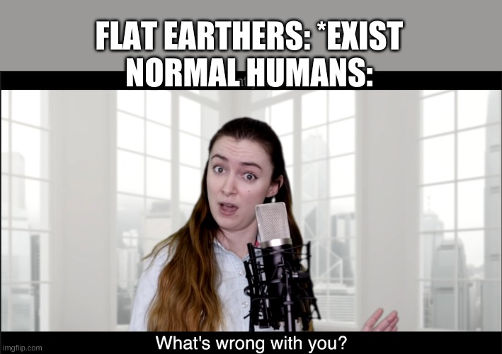 Malinda What's Wrong With You | FLAT EARTHERS: *EXIST
NORMAL HUMANS: | image tagged in malinda what's wrong with you | made w/ Imgflip meme maker