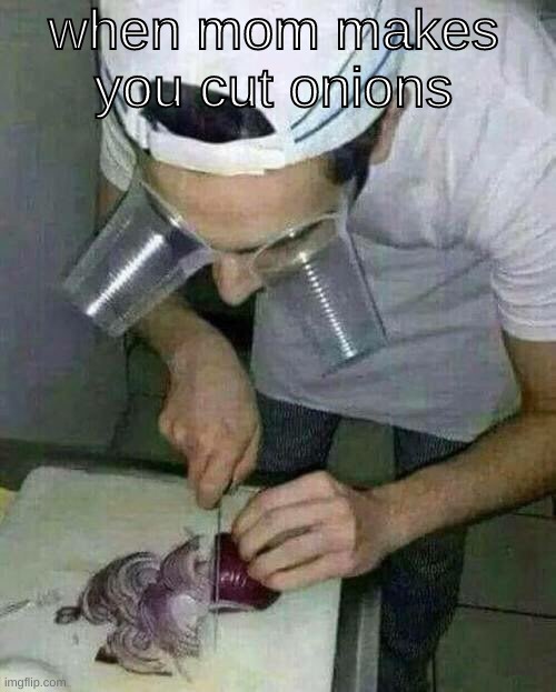 Lmfao | when mom makes you cut onions | image tagged in onions,onion,cup,walmart | made w/ Imgflip meme maker