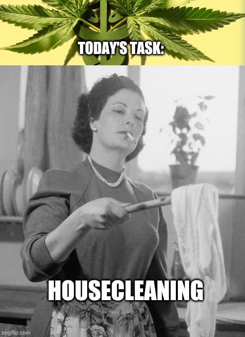 Smoking and housecleaning | TODAY'S TASK:; HOUSECLEANING | image tagged in smoke weed everyday,housecleaning,1950s housewife | made w/ Imgflip meme maker