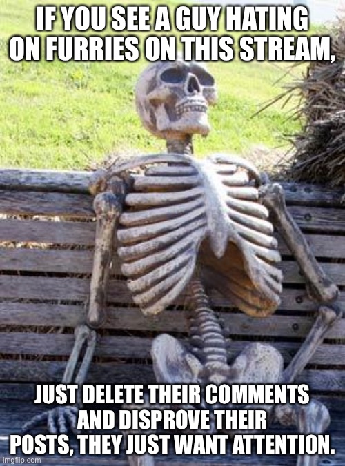 Waiting Skeleton | IF YOU SEE A GUY HATING ON FURRIES ON THIS STREAM, JUST DELETE THEIR COMMENTS AND DISPROVE THEIR POSTS, THEY JUST WANT ATTENTION. | image tagged in memes,waiting skeleton | made w/ Imgflip meme maker