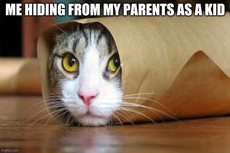 ME HIDING FROM MY PARENTS AS A KID | image tagged in funny | made w/ Imgflip meme maker