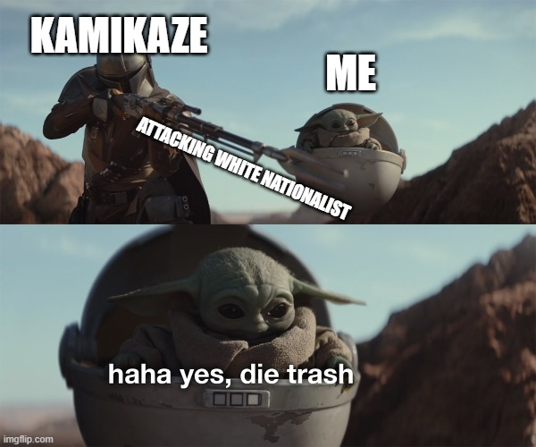 baby yoda die trash | KAMIKAZE ME ATTACKING WHITE NATIONALIST | image tagged in baby yoda die trash | made w/ Imgflip meme maker