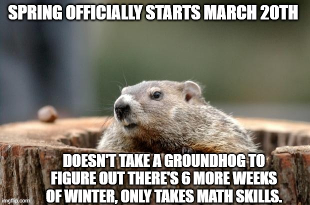 Groundhog | SPRING OFFICIALLY STARTS MARCH 20TH; DOESN'T TAKE A GROUNDHOG TO FIGURE OUT THERE'S 6 MORE WEEKS OF WINTER, ONLY TAKES MATH SKILLS. | image tagged in groundhog | made w/ Imgflip meme maker